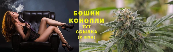 ешки Аркадак