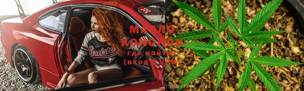 ешки Аркадак