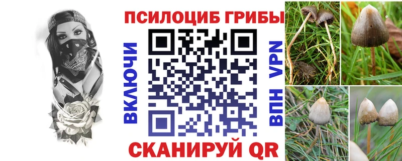 Галлюциногенные грибы прущие грибы  Онега 